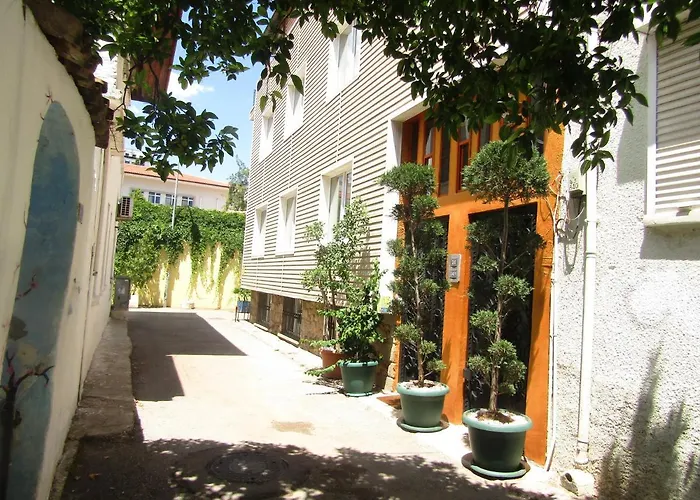 Apartment Ozzy Homes