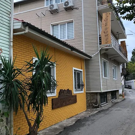 Ozzy Homes